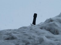 Lo spumante in fresco  IMG 0329 - Copy